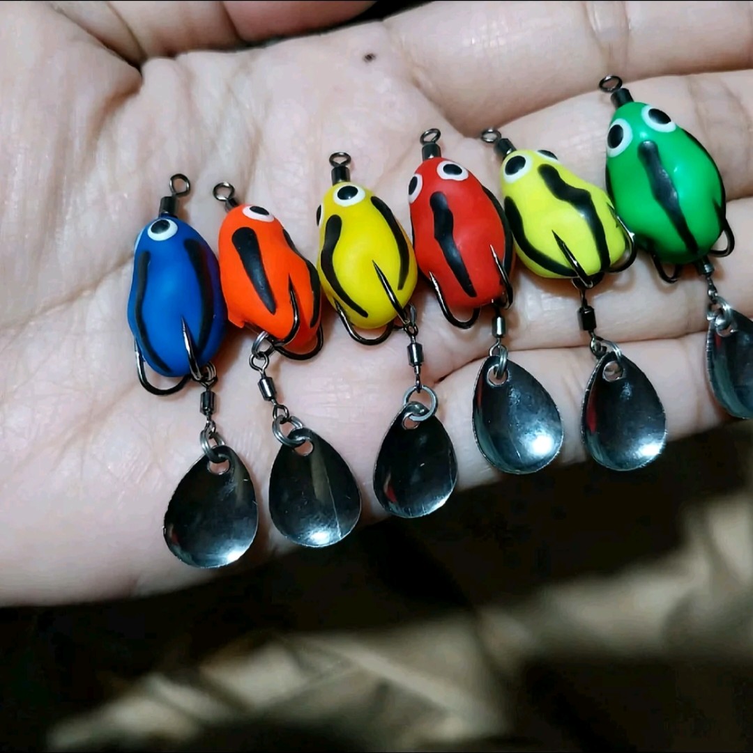 กบจิ๋ว บักกิดลิต